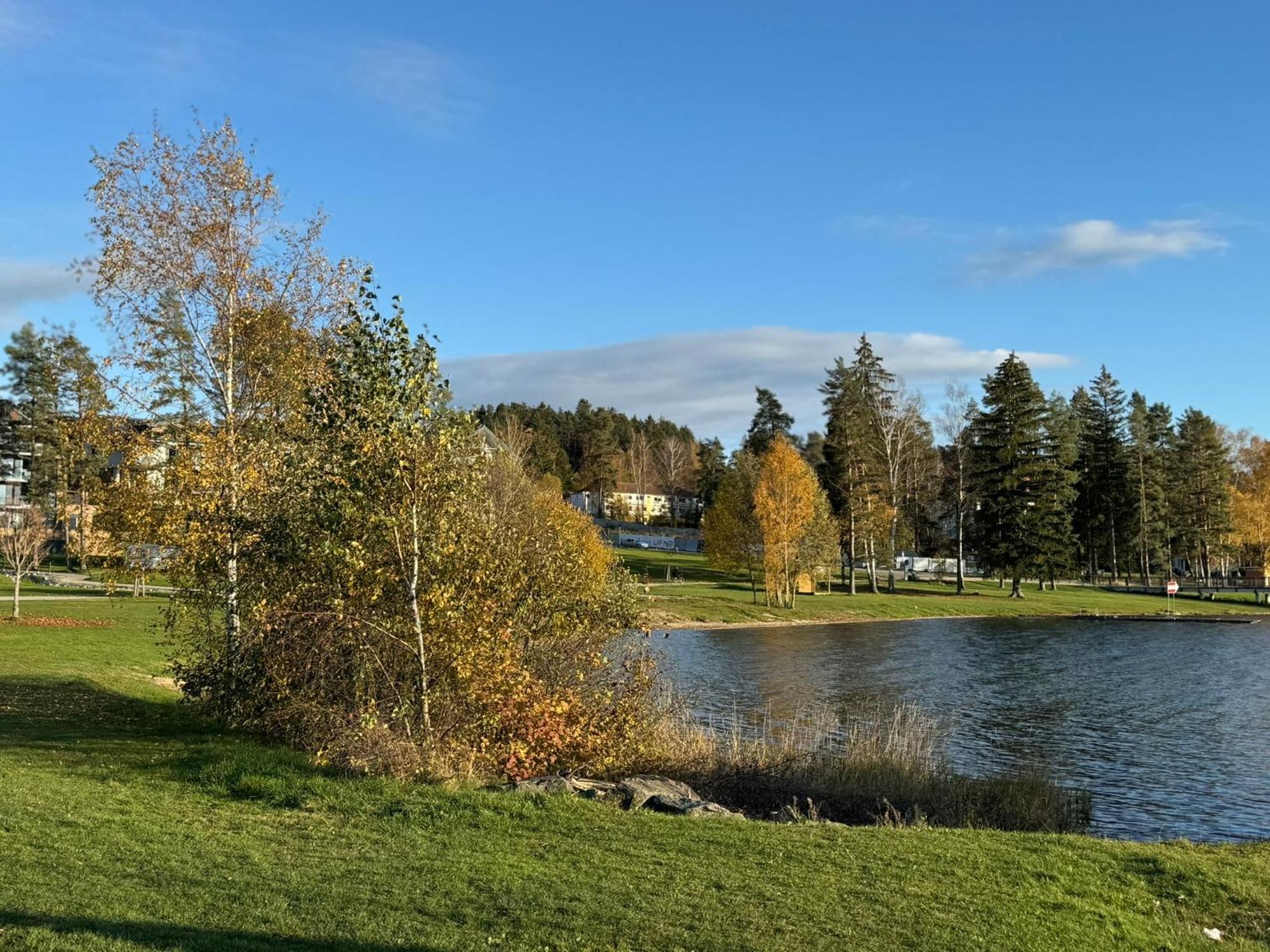 L&B Lake View Modern Apartment Lipno nad Vltavou Exterior foto